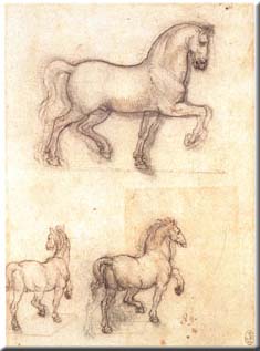 Studi Per Un Monumento Equestre - Leonardo Da Vinci
