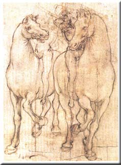 Studio di Cavelli Con Cavalieri - Leonardo Da Vinci